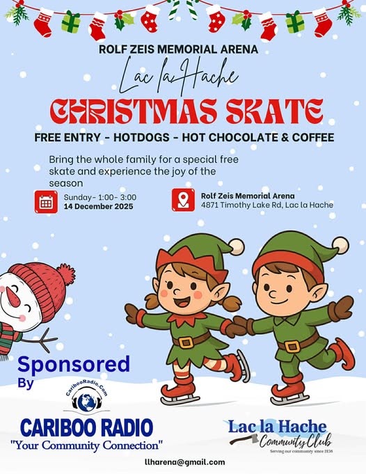 Christmas Skate poster